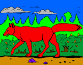 Disegno Coyote pitturato su BOSCO