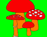 Disegno Funghi pitturato su irene