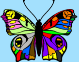Disegno Farfalla pitturato su luca