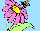 Disegno Margherita con ape  pitturato su Chicco