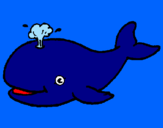 Disegno Balena che spruzza  pitturato su IRENE