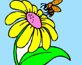 Disegno Margherita con ape  pitturato su denisa_maria
