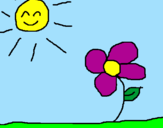 Disegno Sole e Fiore 2 pitturato su TITTI 99