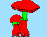 Disegno Funghi pitturato su gianluca06