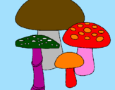 Disegno Funghi pitturato su sara