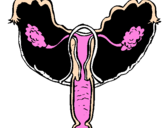 Disegno Vagina pitturato su ioamolascola