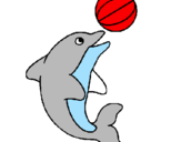 Disegno Delfino con una palla  pitturato su salvatore
