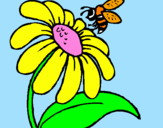 Disegno Margherita con ape  pitturato su aaa