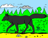 Disegno Coyote pitturato su dinisauro 1
