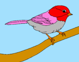 Disegno Uccellino  pitturato su giada