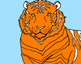 Disegno Tigre pitturato su maicol