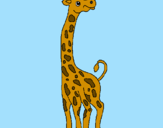 Disegno Giraffa  pitturato su martina