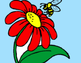 Disegno Margherita con ape  pitturato su elvira e nicolas