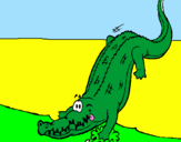 Disegno Alligatore che entra nell'acqua  pitturato su Marcello