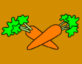 Disegno carote  pitturato su miriam