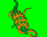 Disegno Anaconda e caimano  pitturato su alessandro
