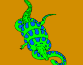 Disegno Anaconda e caimano  pitturato su riccardomonti