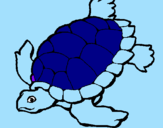 Disegno Tartaruga  pitturato su Piccola