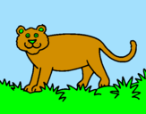 Disegno Panthera  pitturato su matilde 