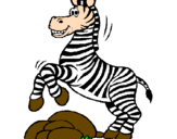 Disegno Zebra che salta sulle pietre  pitturato su JACOPO