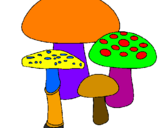 Disegno Funghi pitturato su ilaria