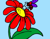 Disegno Margherita con ape  pitturato su MICHELLE