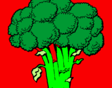 Disegno Broccoli  pitturato su Nicola Piero