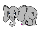 Disegno Piccolo elefantino  pitturato su gloria