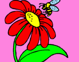 Disegno Margherita con ape  pitturato su Michelle Peruzzini