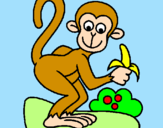Disegno Scimmietta  pitturato su cocil