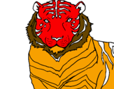 Disegno Tigre pitturato su LORENZO