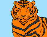 Disegno Tigre pitturato su riccardomonti