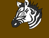 Disegno Zebra II pitturato su riccardomonti