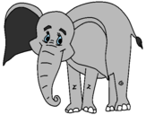 Disegno Elefante felice  pitturato su FRANCESCO