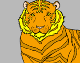 Disegno Tigre pitturato su marco