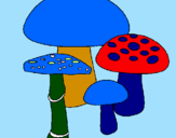 Disegno Funghi pitturato su ELENA
