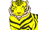 Disegno Tigre pitturato su simone