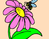 Disegno Margherita con ape  pitturato su alessandra