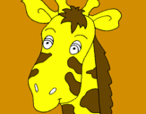 Disegno Muso di giraffa pitturato su riccardomonti