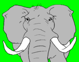 Disegno Elefante africano pitturato su riccardomonti