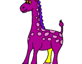 Disegno Giraffa pitturato su rosa di mare