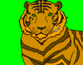 Disegno Tigre pitturato su ALESSIA