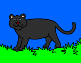 Disegno Panthera  pitturato su manuel