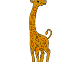 Disegno Giraffa  pitturato su JACOPO