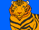 Disegno Tigre pitturato su manuel