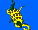 Disegno Anaconda e caimano  pitturato su martina