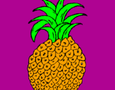 Disegno ananas  pitturato su annachiara