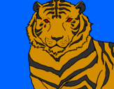 Disegno Tigre pitturato su giulio