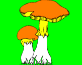 Disegno Funghi pitturato su ninfea