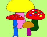 Disegno Funghi pitturato su Elettra